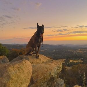 Meet your Posher, Brian